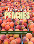 Growing Peaches