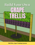 Build Your Own Grape Trellis