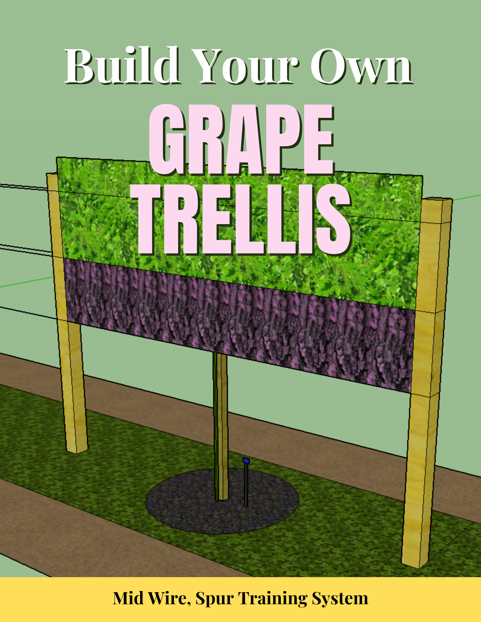 Build Your Own Grape Trellis