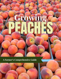 Growing Peaches