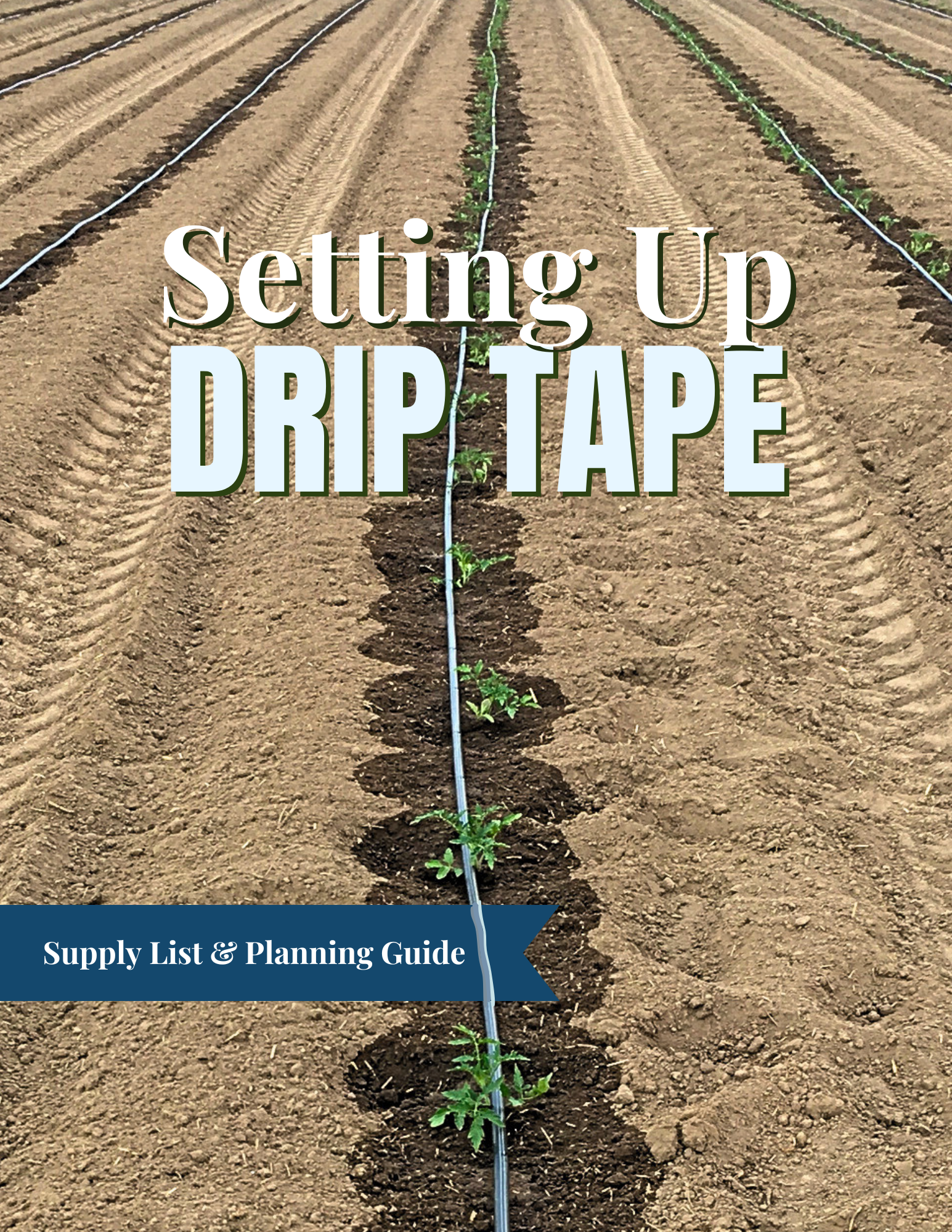 Setting Up Drip Tape